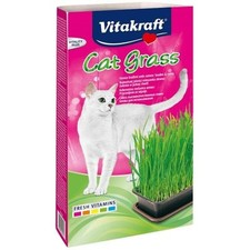 Cat grass miscela usato  Italia