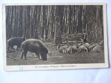 Ansichtskarte leiningischen wi gebraucht kaufen  Eggenstein-Leopoldshafen