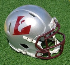 Wisconsin crosse eagles for sale  Merritt Island