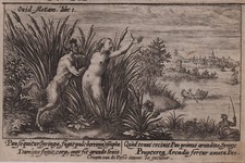 Passe syrinx vid gebraucht kaufen  Bissendorf