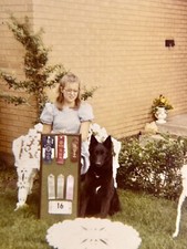 Belgian sheepdog dog for sale  Lewisville