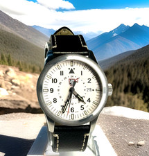Luminox men watch for sale  Spring Hill