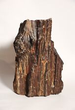 Tronco legno cipresso usato  Bologna