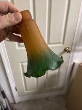Lily pad tulip for sale  Johnston