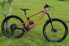 Santa cruz bronson for sale  WORCESTER