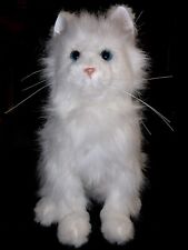 White persian kitty for sale  Moline
