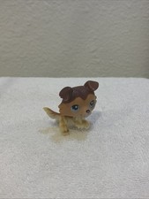 lps collie 58 for sale  College Place