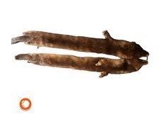 Nerzstola pelz kragen gebraucht kaufen Nerzstola pelz kragen gebraucht kaufen  Duisburg