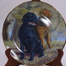 Labrador retrievers lifelong for sale  Acworth