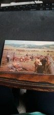 Branding cattle farm for sale  Elkhorn