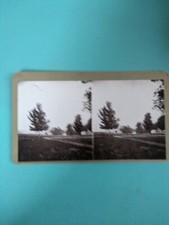 Vintage stereoview card for sale  North Canton