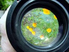 Lente de gran formato 8x10 genérico vintage | 11x14? quién sabe | Bonito | $89 | segunda mano  Embacar hacia Mexico