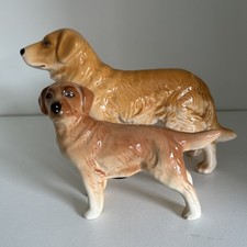 Golden retriever dog for sale  BIRMINGHAM