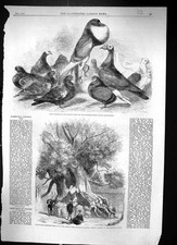 Old 1862 prize for sale  UK