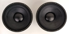 woofer 25 cm usato  Pontedera