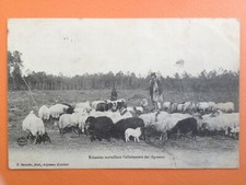 Old postcard landes d'occasion  Expédié en Belgium