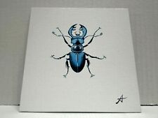 Blue stag beetle for sale  Vienna