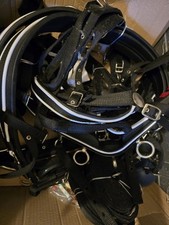 Pairs pony harness for sale  BANGOR