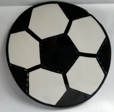 Coton colors soccer for sale  Steinhatchee