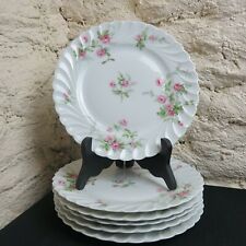 Assiettes plates porcelaine d'occasion  Thiaucourt-Regniéville