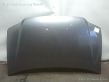 Touran riginal motorhaube gebraucht kaufen  Delitzsch