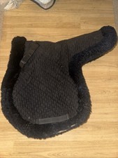Full size sheep for sale  WESTON-SUPER-MARE