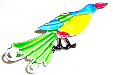 Pavone peacock bird usato  Genova