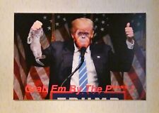 Grab rare canvas for sale  USA