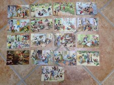 Serie cartoline gatti usato  Italia