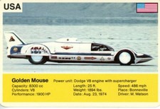 Golden mouse 1974 for sale  NEWCASTLE