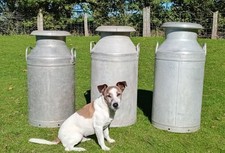 Three vintage aluminium for sale  RIPON