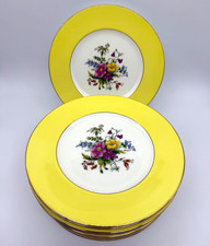 Set royal cauldon for sale  Burlington