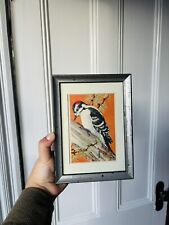 Framed vintage woodpecker for sale  Rockland