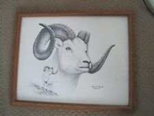 horn big sheep print for sale horn big sheep print for sale Elizabeth