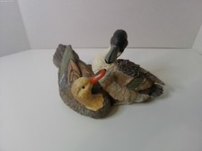 Pair mallard ducks for sale  Buffalo