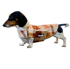 Casaco Dachshund - Dapper Caramelo - Dachys Jackies comprar usado  Enviando para Brazil