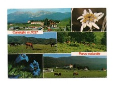 Pian cansiglio scorci usato  Italia