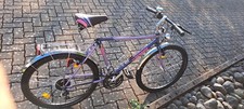 Velo schauf citybike gebraucht kaufen  Vöhrenbach