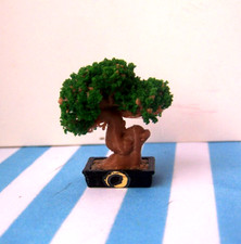 Dolls house bonsai for sale  THORNTON-CLEVELEYS