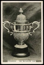 Pattreiouex sporting events for sale  LLANRWST