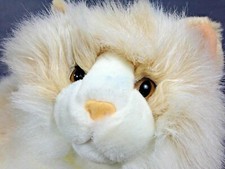 Fiesta cat persian for sale  Brick