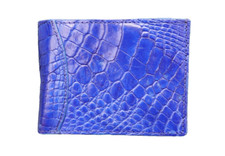 Real crocodile money for sale  USA