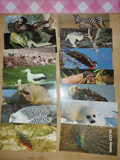 Cartes merveilles nestlé d'occasion  Saint-Vallier