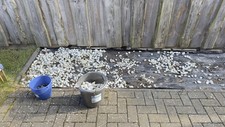 Kieselsteine 50kg selbstabholu gebraucht kaufen  Schwarmstedt