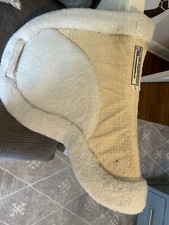 Success equestrian deluxe for sale  Lexington