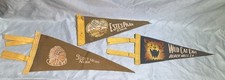 Vintage souvenir pennant for sale  Burlington