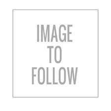 Usd carbon 2021 for sale  STUDLEY