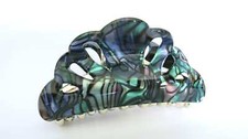 Abalone sea shell for sale  USA