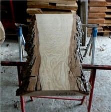 Esche eschenholz bretter gebraucht kaufen  Grasberg