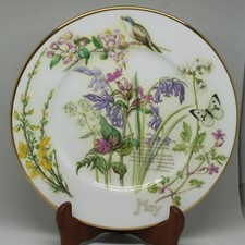 Caverswall ceramic plate for sale  MELKSHAM